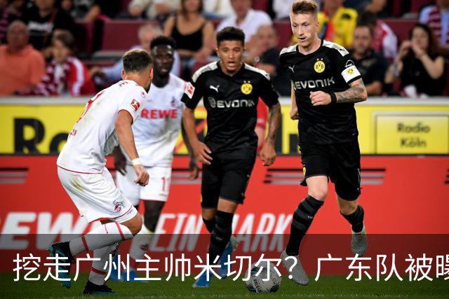 挖走广州主帅米切尔？广东队被曝欲签约外教，朱芳雨将签回徐昕！